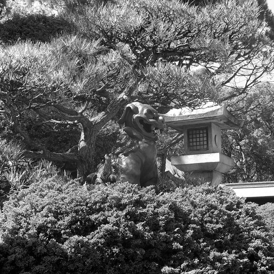 ../_images/BWf2.8_120.jpg