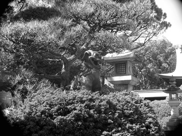 ../_images/BWf2.8_135.jpg