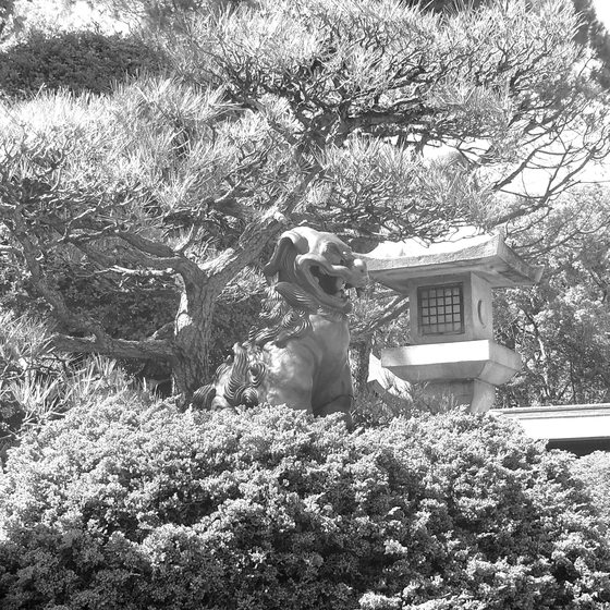 ../_images/BWf8.0_120.jpg